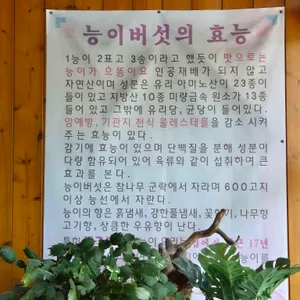 전주본가 리뷰 사진