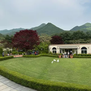 더그림 리뷰 사진