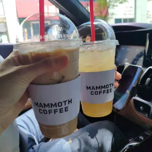 매머드익스프레스 사진
