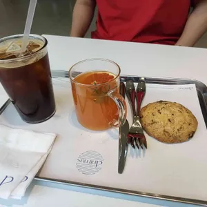 아니무스 사진