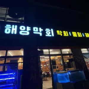 해양막회 리뷰 사진