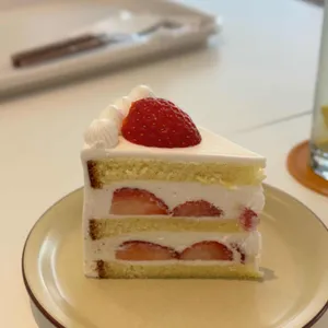 윈썸 사진