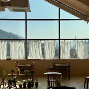 쇼드 리뷰 사진