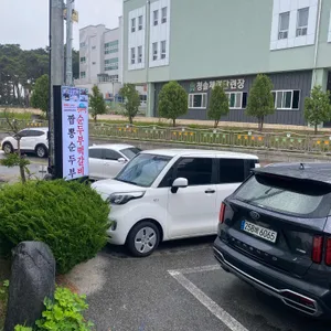 뉴 솔향초당순두부 리뷰 사진