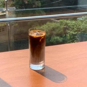 녹턴 사진