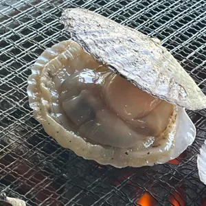 백도수산 리뷰 사진