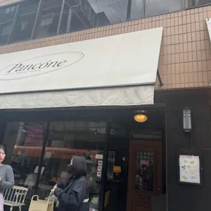 판코네 리뷰 사진