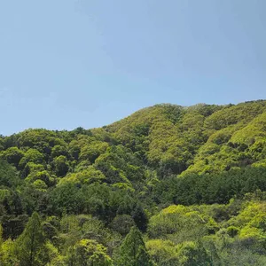 이디야커피 리뷰 사진