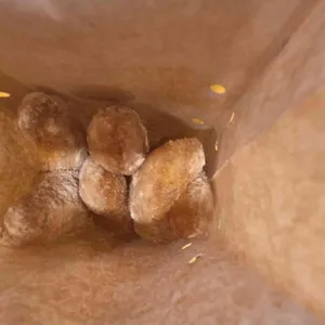 황제찹쌀꽈배기 리뷰 사진