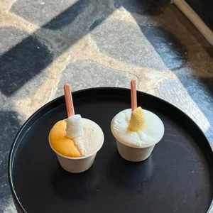 녹기 전에 낱점 사진