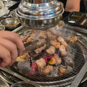 식껍 사진