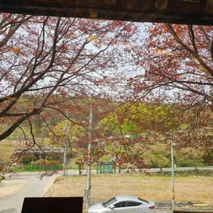 신양옥찻집 리뷰 사진