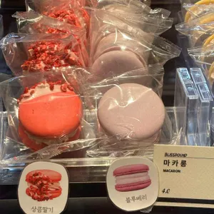 블리스라운드 사진