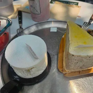 스프링 사운즈 리뷰 사진