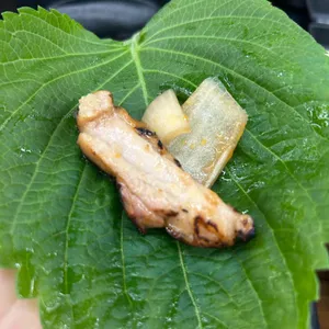 양지리농원 사진