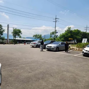 사과나무 리뷰 사진