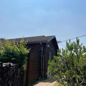 다보록 리뷰 사진