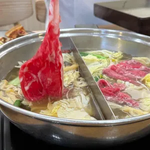 샤브자작나무 사진