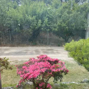 장안새벽집 리뷰 사진