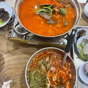 내고향강원도 사진