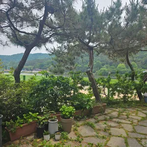 버킷문리버 리뷰 사진