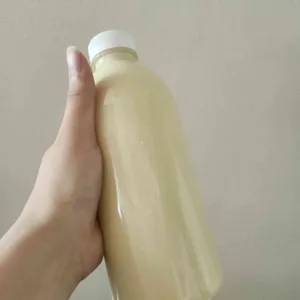 두부본가 사진