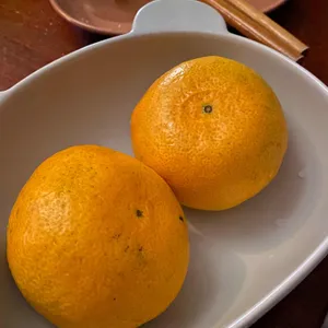 참프루 사진