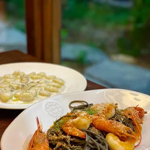 디몰토 사진