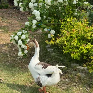 몽베르 리뷰 사진