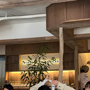 노스 리뷰 사진