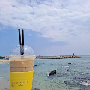 마젠타 사진