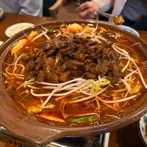 진지아 사진