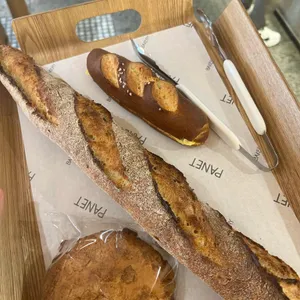 파네트 사진