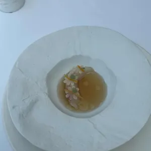 르다 사진