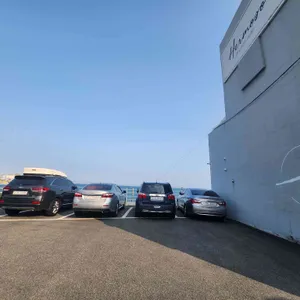 미친베이글 사진