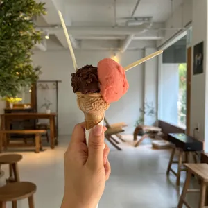 올리비아떼 사진