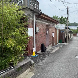 시트러스 리뷰 사진