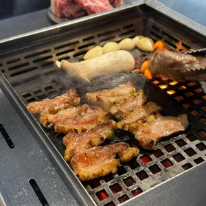 육지 사진