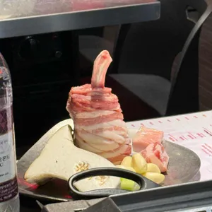 육지 사진