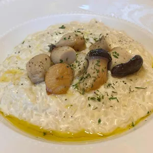 라코즈 사진