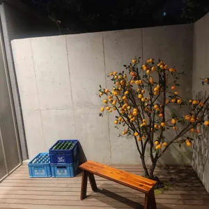 탐라육해 리뷰 사진