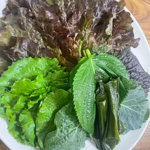 우렁이마을 사진