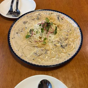 로니로티 사진