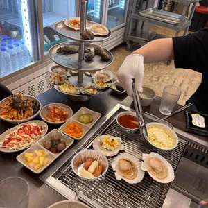 동해가리비 사진
