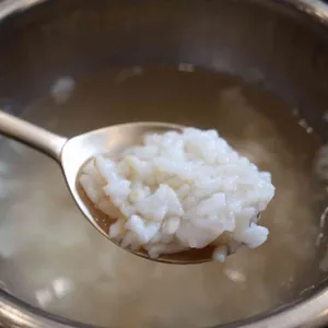 곤국 사진