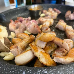 제주꽃돼지 사진