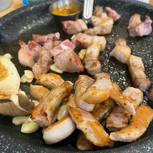 제주꽃돼지 사진