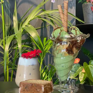 플라피아 대표 사진