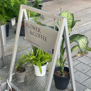 플라피아 리뷰 사진