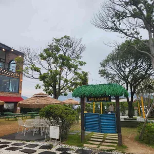 비아조 리뷰 사진